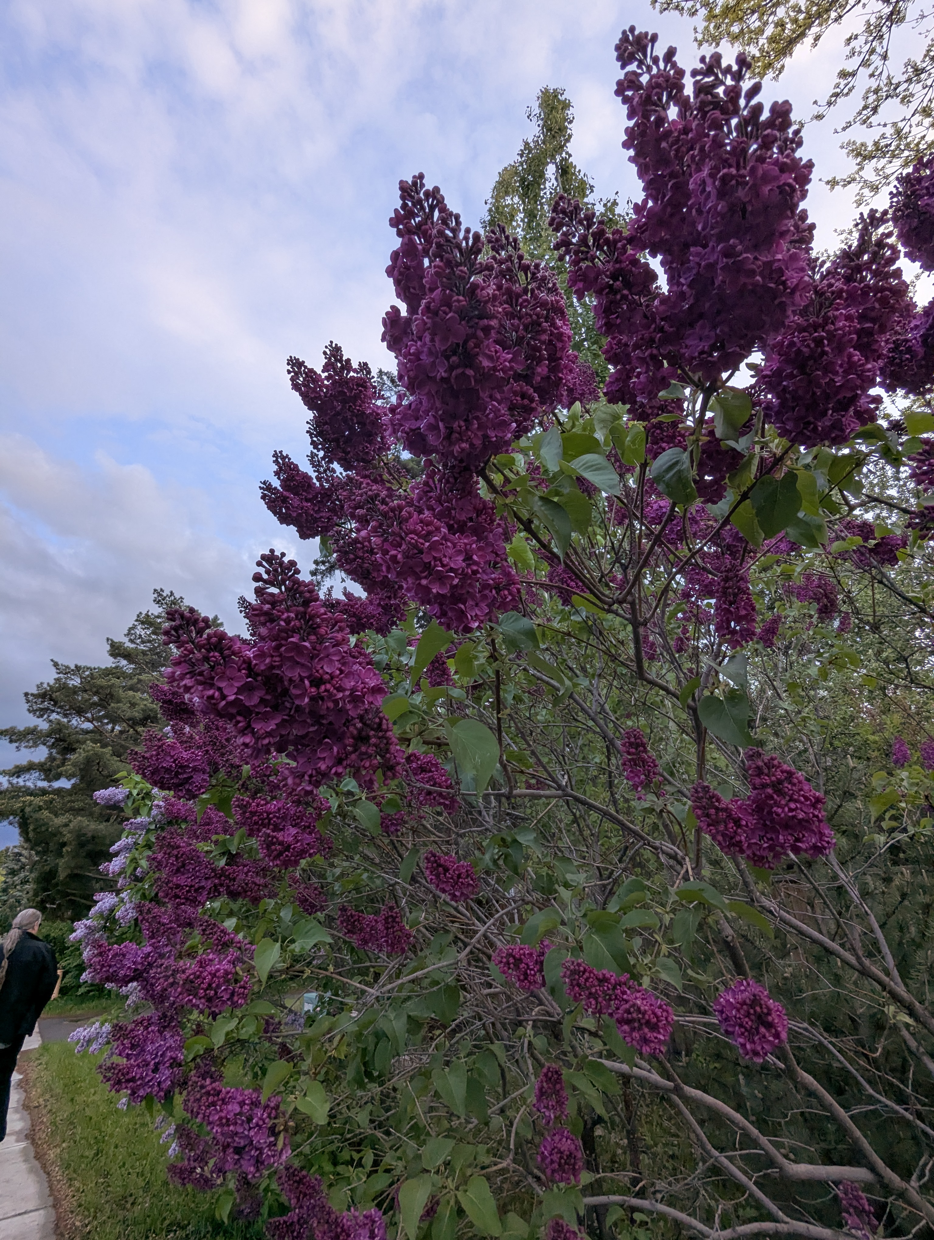 Birthday Trip to Canada, Edmonton